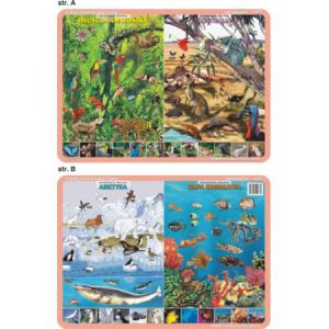Podkładka edukacyjna Visual System Geografia #2